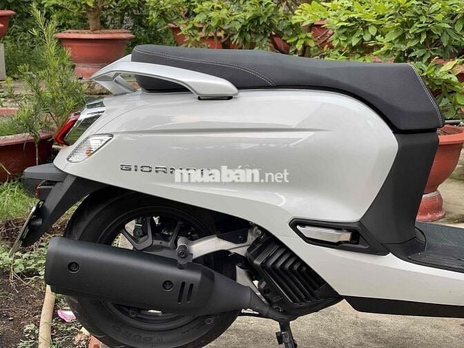Honda Giorno 125 nhập thái, bsdg 99992 bao ra tên