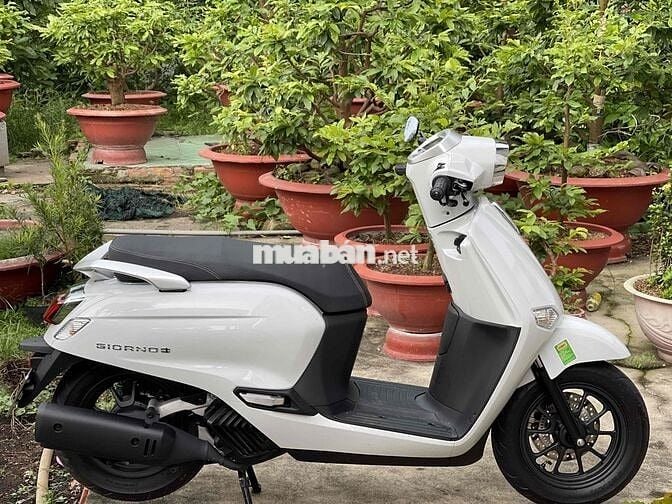 Honda Giorno 125 nhập thái, bsdg 99992 bao ra tên