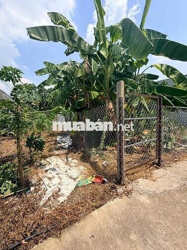đất đô thị 125m2,đường Nguyễn Văn tiên tân phong biên hoà