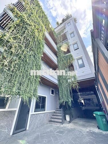 Cho Thuê Căn Hộ Mini Full Nội Thất Ngay Phạm Văn Bạch - Gần Tân Sơn