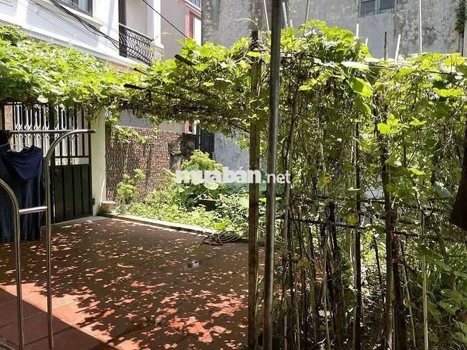 🌿 HÀNG ĐỘC QUYỀN! Nhà sân vườn Phúc Lợi - Không chung chủ-3,5 triệu/th