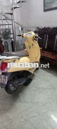 MÌNH CẦN BÁN ATTILA FI BIỂN TP 