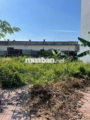 CHỦ RA GẤP LÔ ĐẤT DT 65,5M2 CÁCH DT 743 CHỈ 200M CÓ SỔ HỒNG RIÊNG