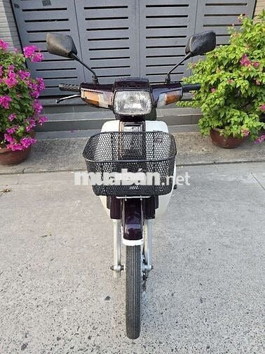 Dream Thái 1995.BS:50N1.máy zin,xe mộc.chính chủ
