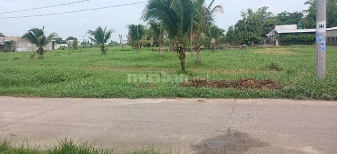 Lô Đất 5x25 Mỹ Hạnh , Đức Hòa Long An