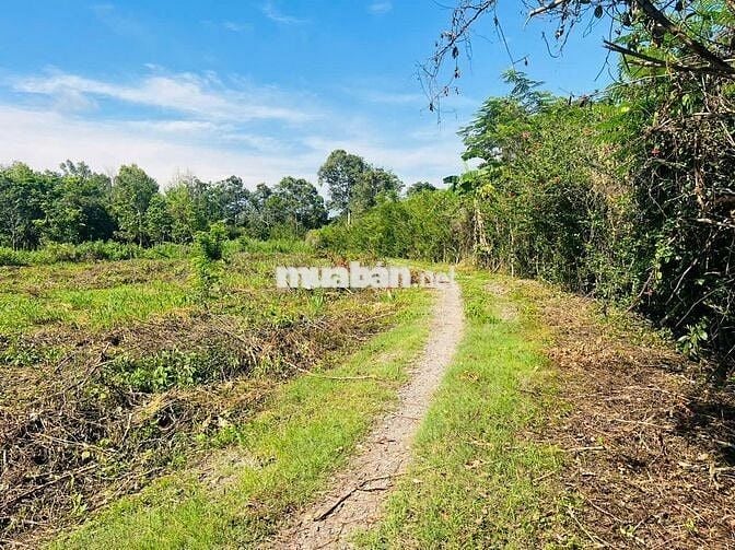 Bán lô đất thổ cư 218m2 lô góc 2 mặt tiền đường nhựa, sát Quốc lộ 20