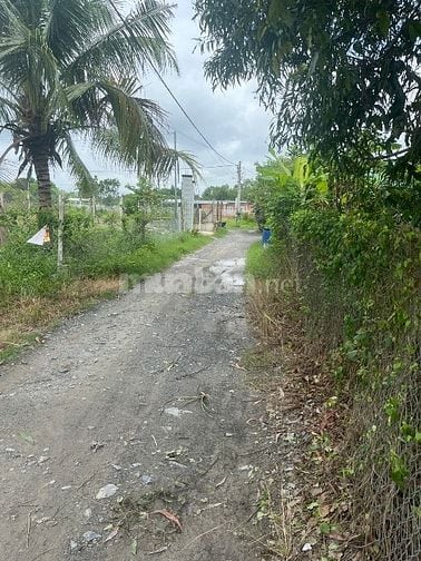 Sang nhượng đất tại phường  An tịnh, Thị xã trảng bàng, Tây ninh