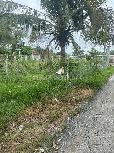 Sang nhượng đất tại phường  An tịnh, Thị xã trảng bàng, Tây ninh