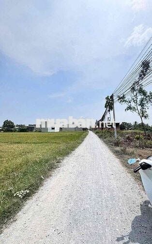Chính chủ cần bán gấp lô đất Đức Hoà, full thổ cư, sổ hồng chính chủ