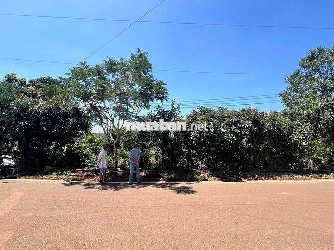 BÁN ĐẤT MẶT TIỀN LIÊN XÃ - TÂN NGHĨA ( Cũ )