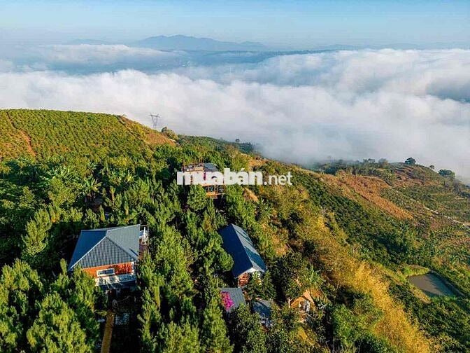 BÁN ĐẤT MẶT TIỀN LIÊN XÃ - TÂN NGHĨA ( Cũ )
