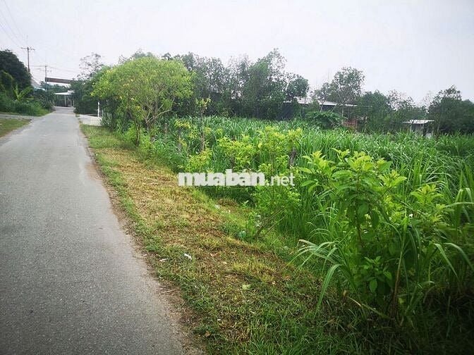 Bán đất mặt tiền đường 762 - Gần sát chợ An Nhơn Tây, BV Đa Khoa CủChi
