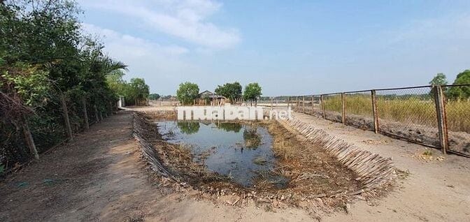 BÁN 1.154M2 ĐẤT VỚI 70M MẶT TIỀN ĐƯỜNG BÀ XÁN, THANH KHOẢN TỐT