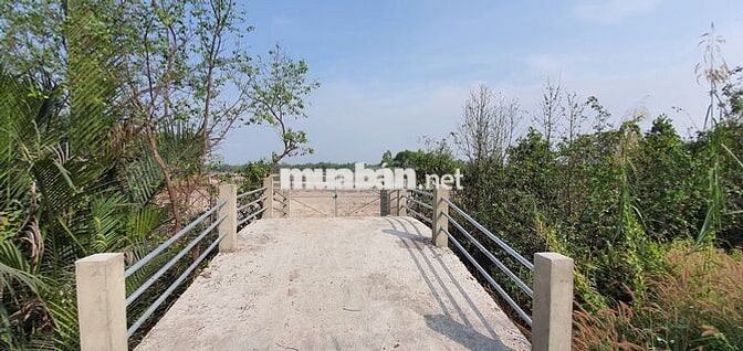 BÁN 1.154M2 ĐẤT VỚI 70M MẶT TIỀN ĐƯỜNG BÀ XÁN, THANH KHOẢN TỐT
