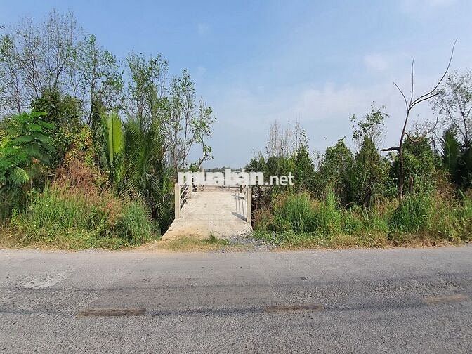 BÁN 1.154M2 ĐẤT VỚI 70M MẶT TIỀN ĐƯỜNG BÀ XÁN, THANH KHOẢN TỐT