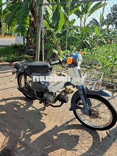 Honda Cúp 78 Xanh trắng