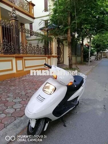 Honda Spacy 125cc 2009 Trắng 11300km Nhập khẩu