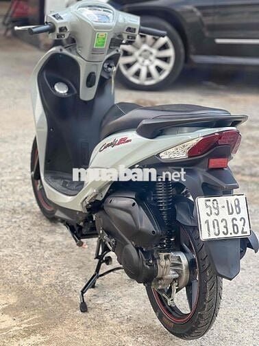 Kymco Candy 50cc 2024 Xám xi măng