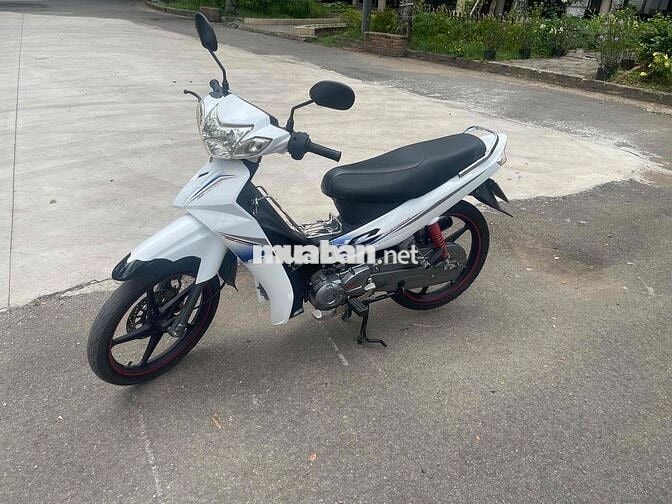 Halim Sirius 50cc 2023 Trắng