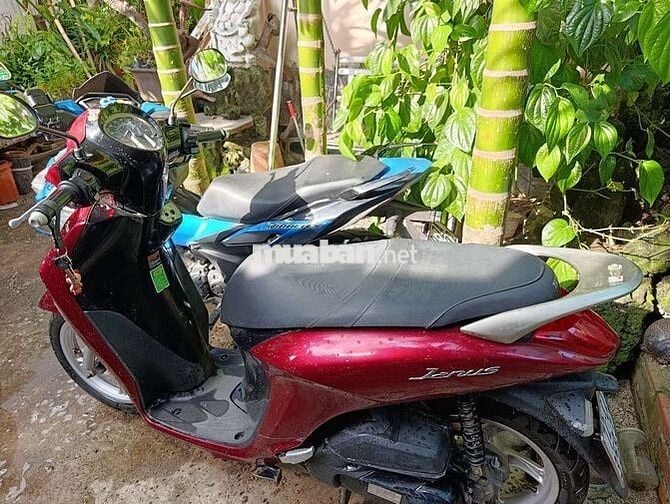 Yamaha Janus 2020 Đỏ 32.000 km