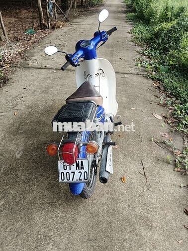Honda Cub 2019 Cổ điển Xanh trắng