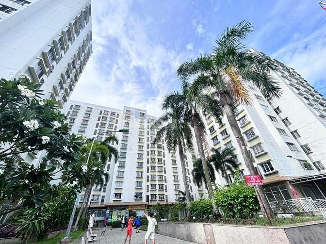 🌹🌹🌹 CC D1 KDC Phú Lợi P7 Q8,  2PN 71m2 SHR , tặng nội thất 🌹🌹🌹