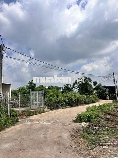 Ngay Vòng Xoay Hồ Thị Hương, sau lưng BV Ái Nghĩa. TT P.Long Khánh