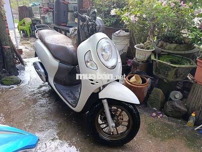 Honda Scoopy 2024 Smartkey Trắng