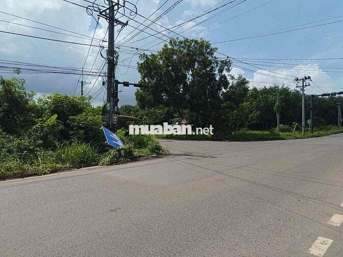 "10KM ĐẾN SÂN BAY LONG THÀNH – SỔ RIÊNG CHỈ 420 TRIỆU!"