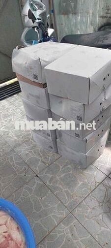 TUYỂN NHÂN VIÊN GIAO HÀNG THỰC PHẨM ĐÔNG LẠNH