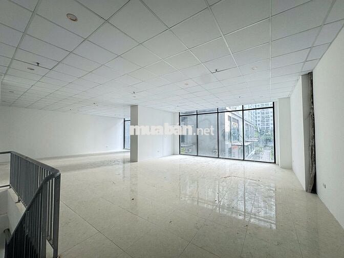 Shophouse khối đế 186.5m², vị trí đẹp, phù hợp cho thuê kinh doanh