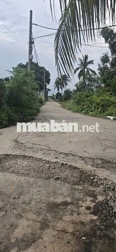 Cho thuê nhà xưởng 500m2, Sân 200m2, Cách Cầu Rạch Tam, Chợ Đệm 5 phút