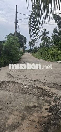 Cho thuê nhà xưởng 500m2, Sân 200m2, Cách Cầu Rạch Tam, Chợ Đệm 5 phút