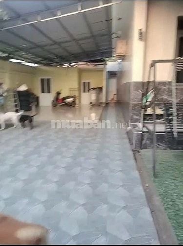 Nhà Vườn Bán Đường Nhà Đồ, Xã Phước Lý, Cần Giuộc, Long An