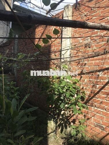 Bán đất ƠNT, 2 mặt đường 5m và 4m