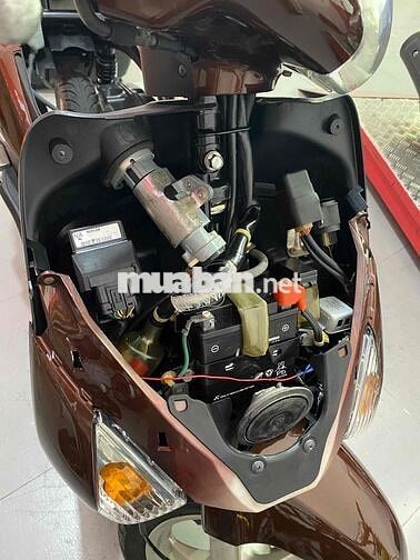 Honda Lead Nâu Xăng