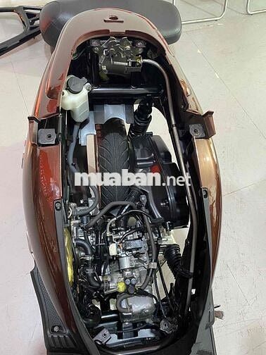 Honda Lead Nâu Xăng