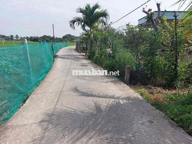 299 Triệu 170m2 Thổ Cư đối diện KCN An Nhựt Tân, cách Tỉnh Lộ 832 900m