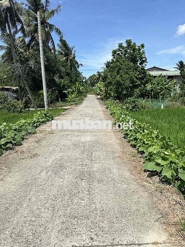 299 Triệu 170m2 Thổ Cư đối diện KCN An Nhựt Tân, cách Tỉnh Lộ 832 900m