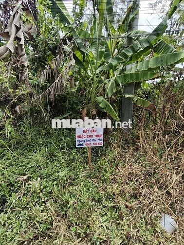 Chính chủ cần bán gấp lô đất mặt tiền Đường Tỉnh 939 