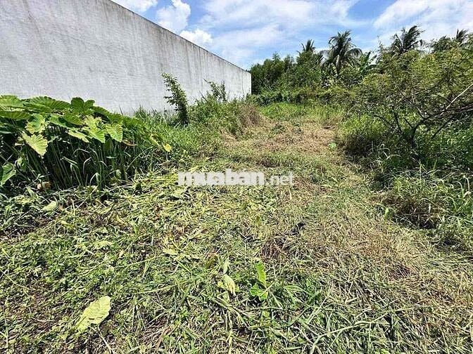 🌈 107m thổ ấp 4 Nhựt Chánh. QL1A vào chỉ 300m. xe hơi