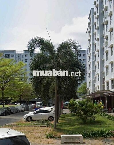 CHÍNH CHỦ BÁN GẤP SHOPHOUSE EHOME3 HỒ HỌC LÃM, 45m2, 3,6 Tỷ