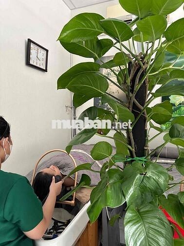 Cần tuyển nhân viên gội đầu maxa quận Bình Tân