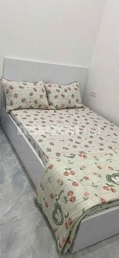 Cho thuê nhà diện tích 35 m2x2 tầng, đường Nước Phần Lan, Tây Hồ