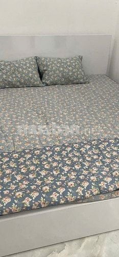 Cho thuê nhà diện tích 35 m2x2 tầng, đường Nước Phần Lan, Tây Hồ