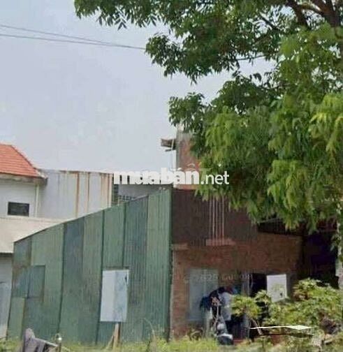 CHÍNH CHỦ Bán nhà C4 mặt tiền Dương Khuê, Vỹ Dạ, Huế 114.8m2 giá 560tỷ