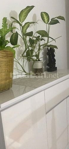 Cho thuê nhà diện tích 35 m2x2 tầng, đường Nước Phần Lan, Tây Hồ