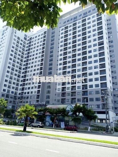 CĂN HỘ 1 PHÒNG NGỦ TẠI SƠN TRÀ OCEAN VIEW 