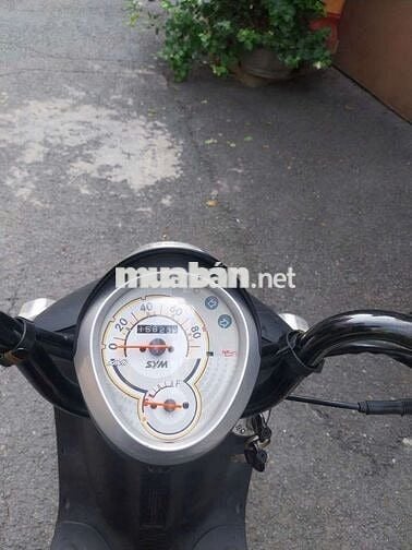 SYM Elite 50 Đen 15824 km
