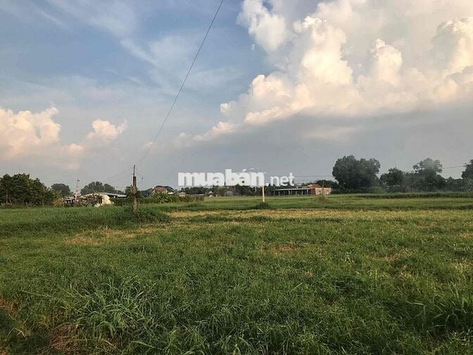 Chính chủ cần bán đất Tân Thạnh Đông (Gia hạn sử dụng đất tới 2075)